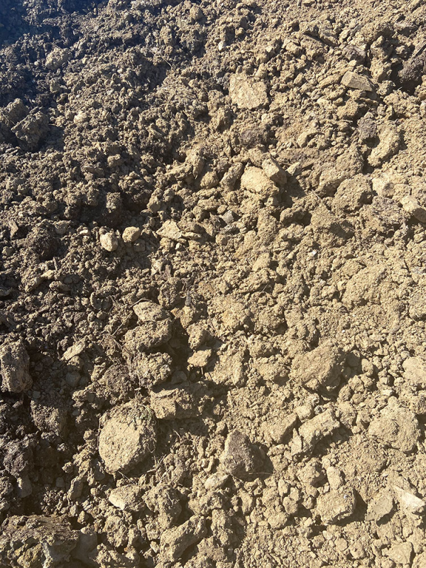 Fill dirt