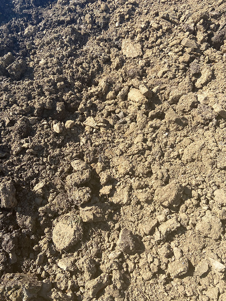 Fill dirt