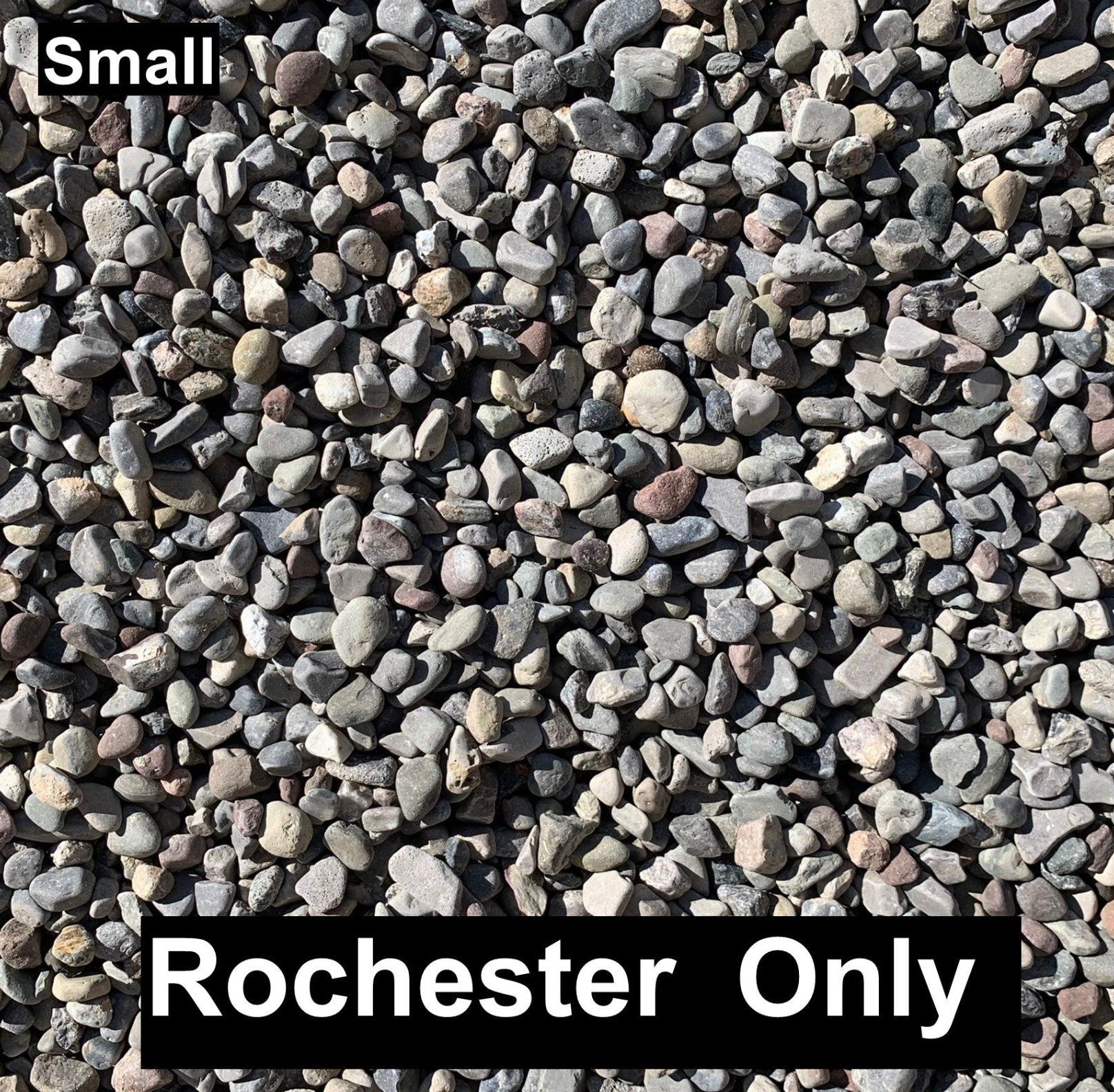 Ontario Pebbles